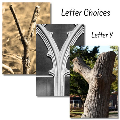 Letter Y - The Letter Gift Shop