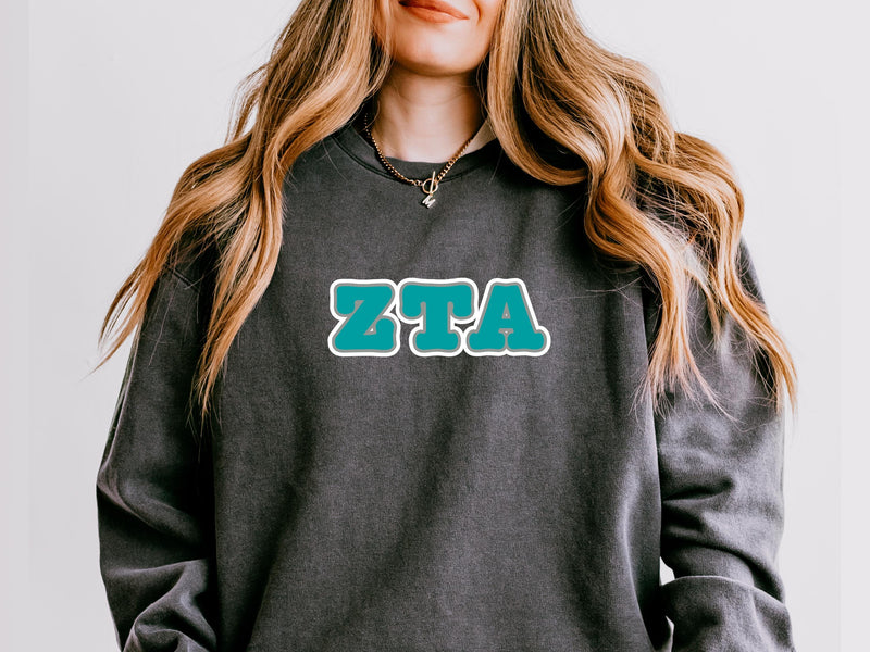 Zeta Tau Alpha Sweatshirt – Big Little Sorority Gift