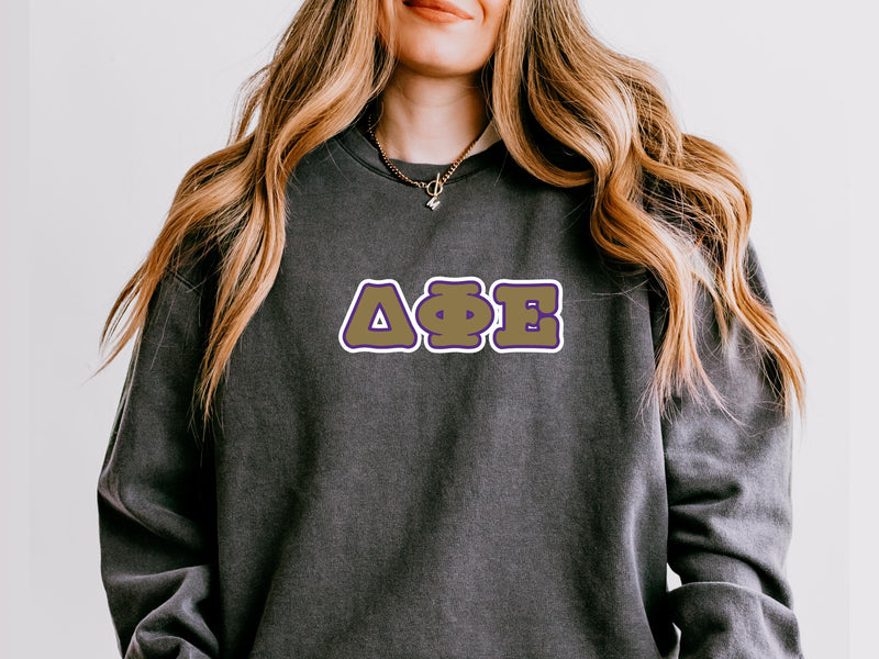 Delta Phi Epsilon Sweatshirt – Big Little Sorority Gift