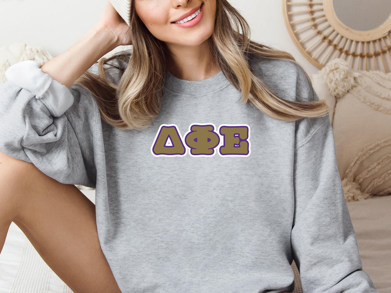 Delta Phi Epsilon Sweatshirt – Big Little Sorority Gift
