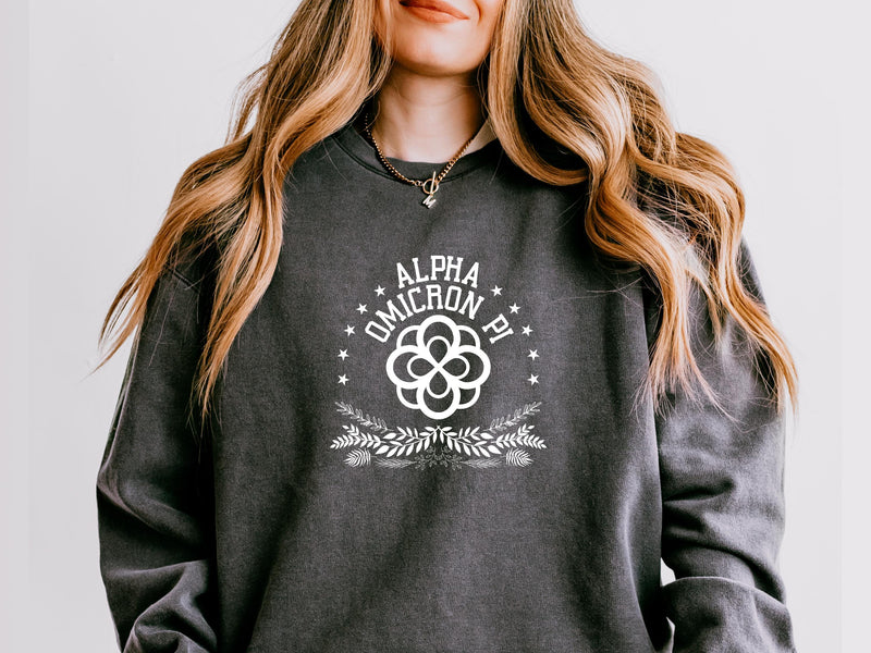 Alpha Omicron Pi Sweatshirt – Big Little Sorority Gift