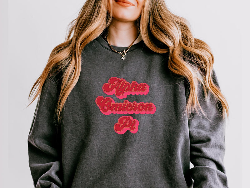 Alpha Omicron Pi Sweatshirt – Big Little Sorority Gift