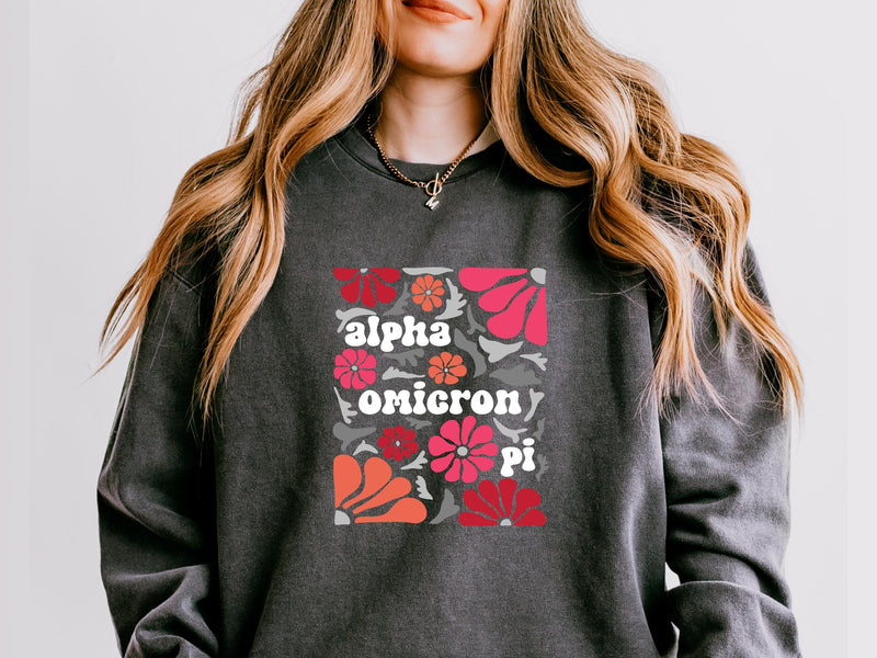 Alpha Omicron Pi Sweatshirt – Big Little Sorority Gift