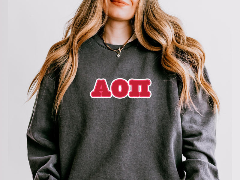 Alpha Omicron Pi Sweatshirt – Big Little Sorority Gift