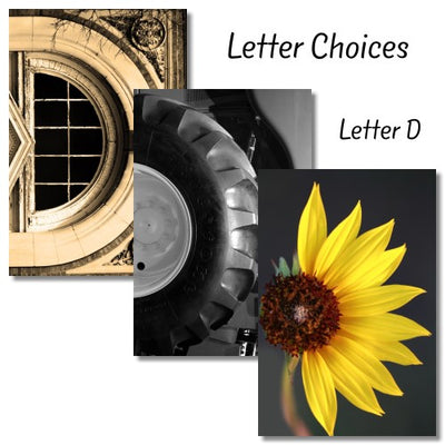 Letter D - The Letter Gift Shop