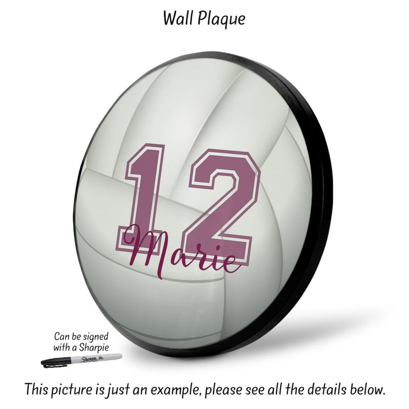 Volleyball Plaque, SP12